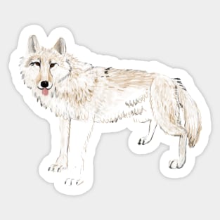 Hudson Bay White Wolf Sticker